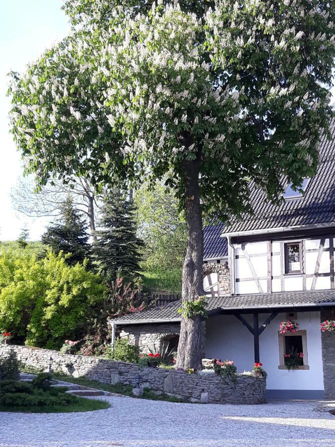 Agroturystyka Lysa Gora 옐레니아구라 외부 사진